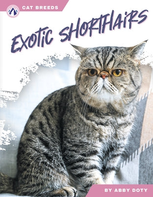 Exotic Shorthairs by Doty, Abby