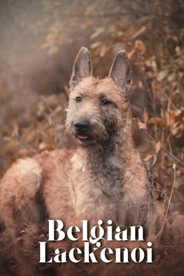 Belgian Laekenoi: Dog breed overview and guide by Pustova, Nina