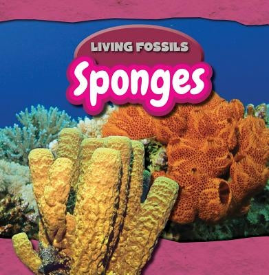 Sponges by Nagelhout, Ryan
