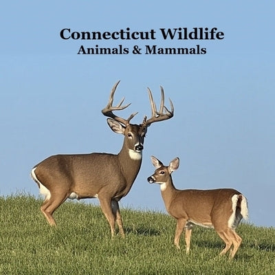Connecticut Animals and Mammals Kids Wildlife Book: Great Wildlife Book about Animals and Mammals in Connecticut by Marie, Kinsey