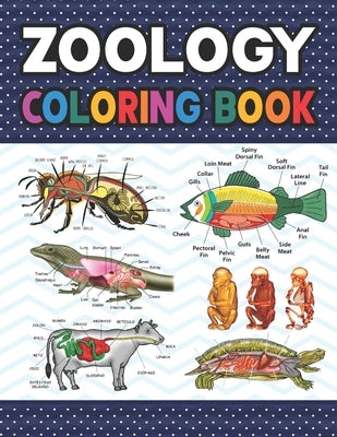 Zoology Coloring Book: Animal Anatomy Learning Workbook. Zoology Coloring Book. Kids Anatomy Coloring Book. Zoology Coloring Book for Men & W by Publication, Darjeylone
