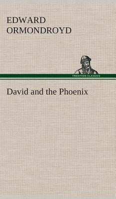 David and the Phoenix by Ormondroyd, Edward