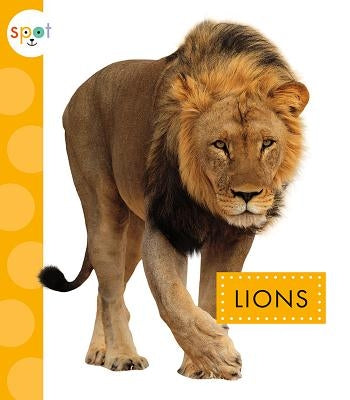 Lions by Klukow, Mary Ellen