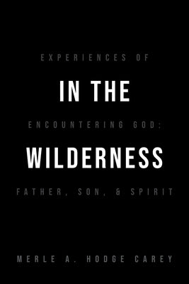 In the Wilderness: Experiences of Encountering God: Father, Son, and Spirit by Hodge-Carey, Merle A.