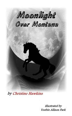 Moonlight over Montana by Park, Yoobin Allison