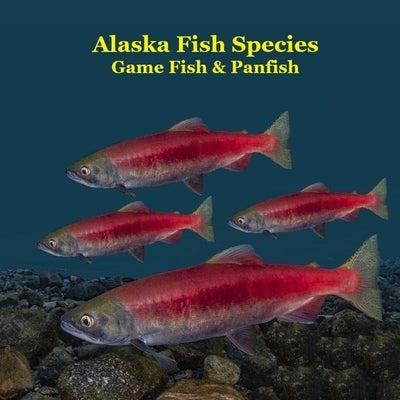 Alaska Game Fish and Panfish Species Kids Book: Great Book About the Different Types of Fish in Alaska by Marie, Kinsey