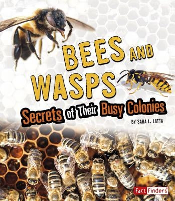 Bees and Wasps: Secrets of Their Busy Colonies by Latta, Sara L.