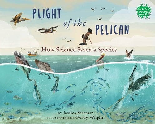Plight of the Pelican: How Science Saved a Species by Stremer, Jessica