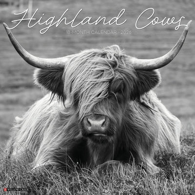 Highland Cows B&w 12 X 12 Wall Calendar by Willow Creek Press