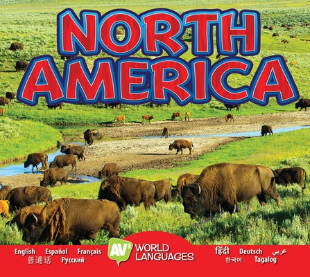 North America by Roumanis, Alexis