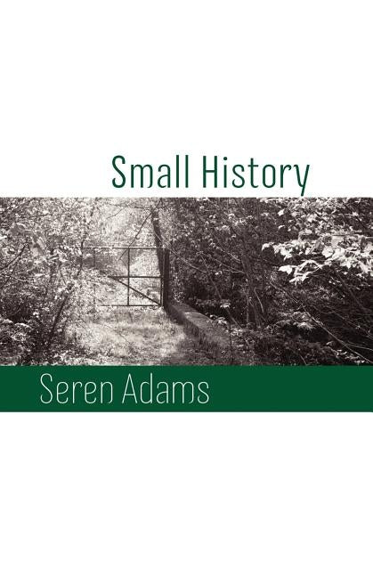 Small History by Adams, Seren