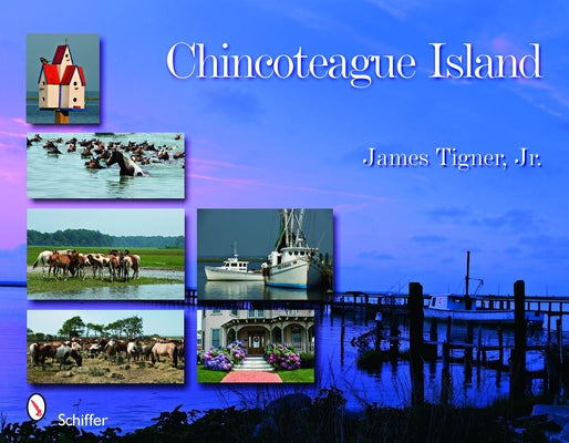 Chincoteague Island by Tigner Jr, James
