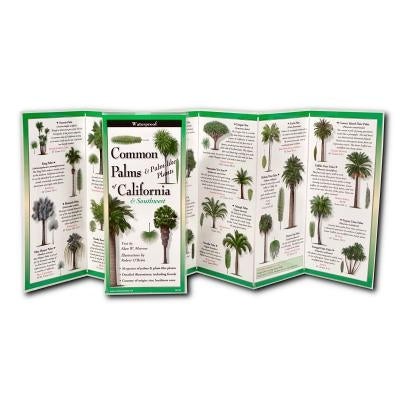 Palms & Cycads of the Southwest & California by O'Brien, Robert