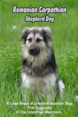 Romanian Carpathian Shepherd Dog: A Large Breed of Livestock Guardian Dogs That Originated in The Carpathian Mountains: What You Should Know About Rom by Michelle, Caris