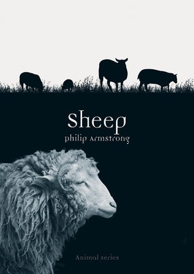 Sheep by Armstrong, Philip