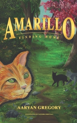 Amarillo: Finding Home by Gregory, Aaryan