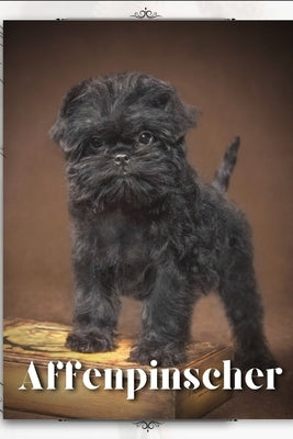Affenpinscher: Dog breed overview and guide by Pustova, Nina