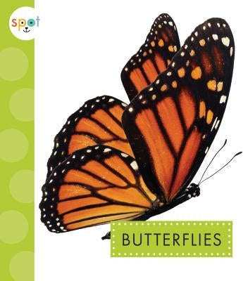 Butterflies by Bach, Rachel
