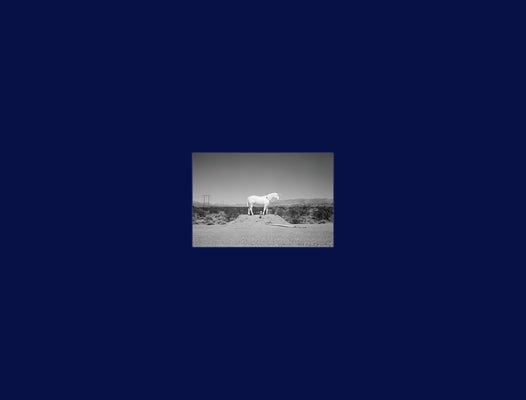 Prophetic Kingdom by Buday, Martin
