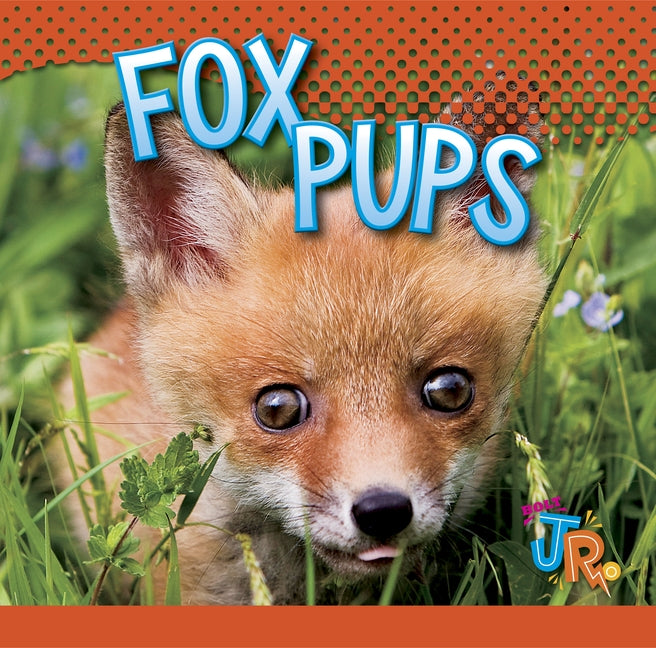 Fox Pups by Besel, Jen