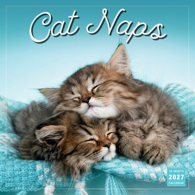 Cat Naps by Sellers Publishing, Inc