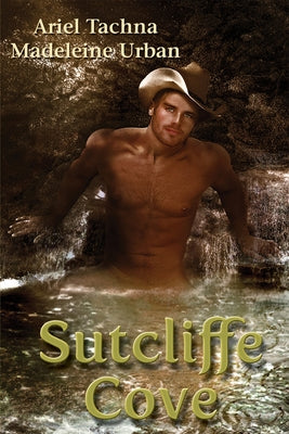 Sutcliffe Cove by Tachna, Ariel