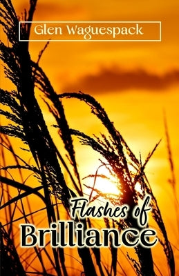 Flashes of Brilliance by Waguespack, Glen