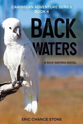 Back Waters by Stone, Eric Chance