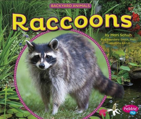 Raccoons by Saunders-Smith, Gail