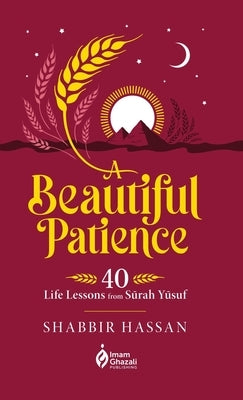 A Beautiful Patience (HB) by Hassan, Shabbir