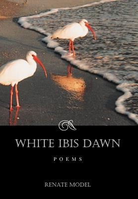 White Ibis Dawn by Model, Renate