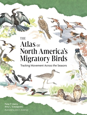 The Atlas of North America's Migratory Birds: Tracking Movement Across the Seasons by Marra, Peter P.