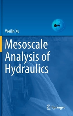 Mesoscale Analysis of Hydraulics by Xu, Weilin