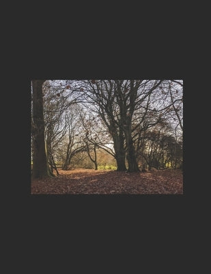 in search of shade: lyrics and poems: 1991-2000 by Scanlon, Joshua J.