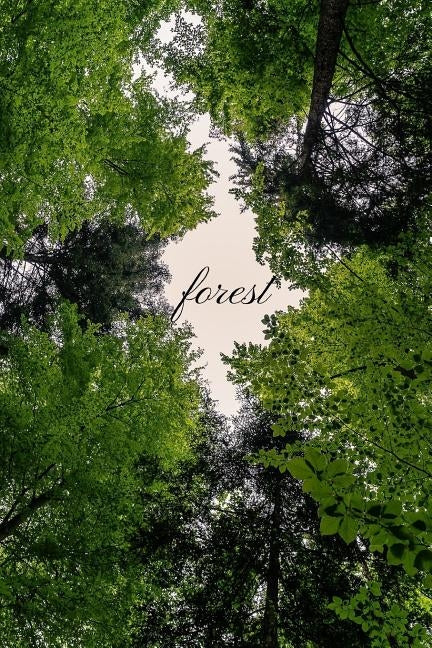 Forest: dot grid paper by O'Reilly, M.