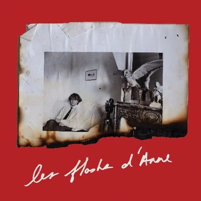 Anne Day: Les Flashes d'Anne: Friendship Among the Ashes with Hervé Guibert by Day, Anne