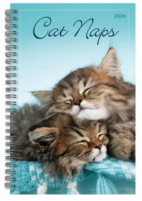 2026 Cat Naps Classic Engagement Planner by Sellers Publishing, Inc