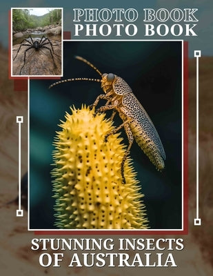 Stunning Insects Of Australia Photo Book: Explore Nature's MarvelsWith 40 Incredible Insect Images From Australia For Enthusiasts by Wade, Kacie