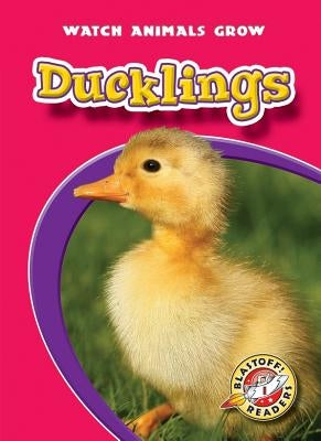 Ducklings by Kaplan, Mandy