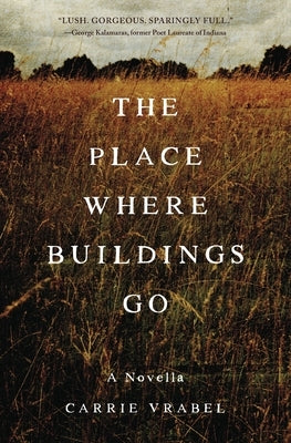 The Place Where Buildings Go by Vrabel, Carrie