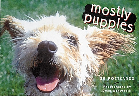 Mostly Puppys/Postcards by Abbeville Gifts