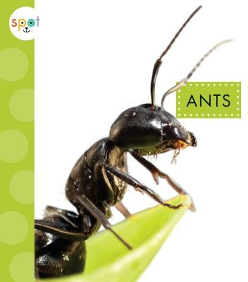 Ants by Black, Nessa