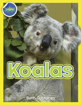 Koala Activity Workbook ages 4-8 by Costanzo, Beth