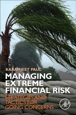 Managing Extreme Financial Risk: Strategies and Tactics for Going Concerns by Paul, Karamjeet
