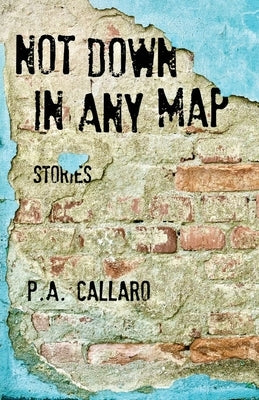 Not Down in Any Map: Stories by Callaro, P. a.