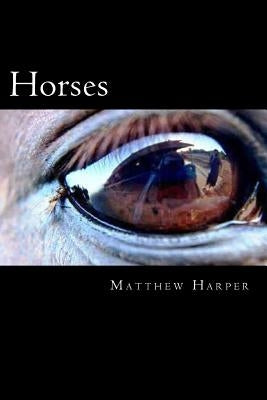 Horses: The Essential Guide To Horses For Kids by Harper, Matthew
