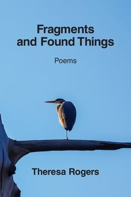 Fragments and Found Things by Rogers, Theresa
