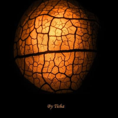 The Shorstors A Collection of Musings by Tisha