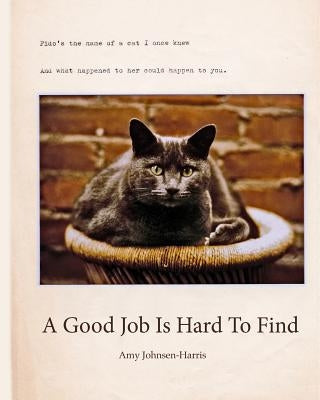 A Good Job Is Hard To Find by Johnsen-Harris, Amy