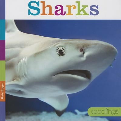 Sharks by Riggs, Kate